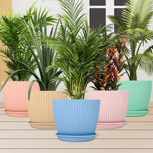 Round Flower Pot with Bottom Tray (5 Pcs Set / Small / 14��16