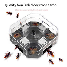 Roach killer traps box