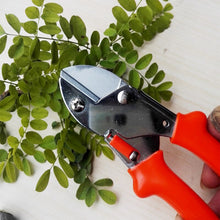 High-quality garden scissors for trimming